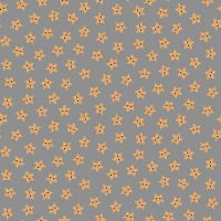 dsStella-DLT3417 Steel